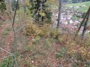 Sentier discret